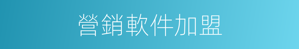 營銷軟件加盟的同義詞