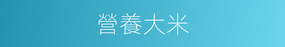 營養大米的同義詞