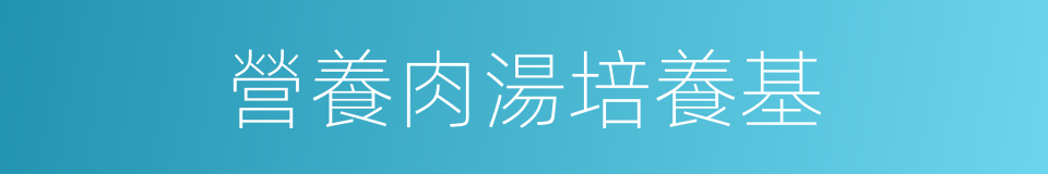 營養肉湯培養基的同義詞
