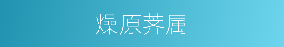 燥原荠属的同义词