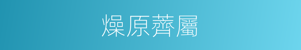 燥原薺屬的同義詞