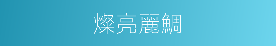 燦亮麗鯛的同義詞