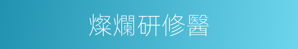 燦爛研修醫的同義詞