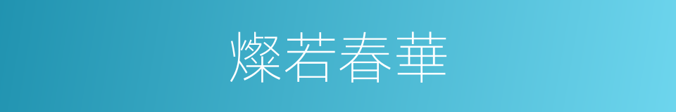 燦若春華的同義詞