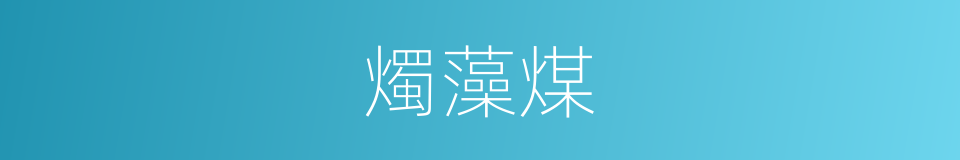 燭藻煤的同義詞