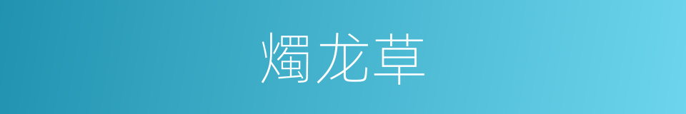 燭龙草的同義詞