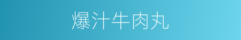 爆汁牛肉丸的同义词