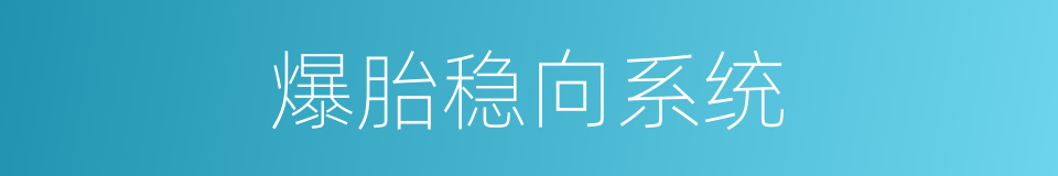 爆胎稳向系统的同义词