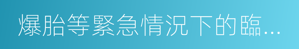 爆胎等緊急情況下的臨危處置方法的同義詞