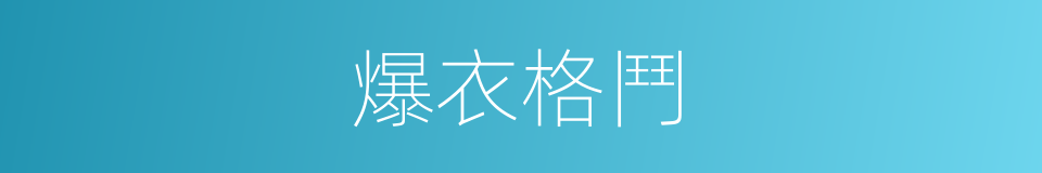 爆衣格鬥的同義詞