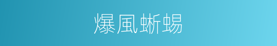 爆風蜥蜴的同義詞