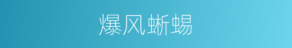 爆风蜥蜴的同义词