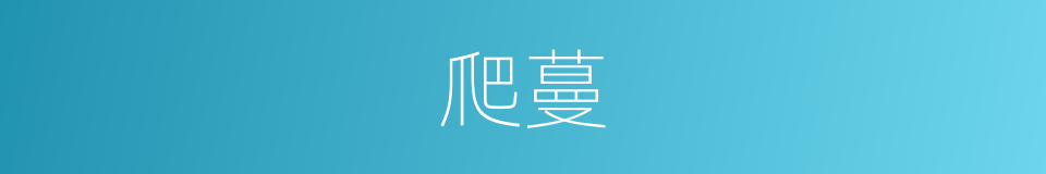 爬蔓的意思