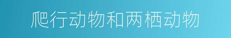 爬行动物和两栖动物的同义词