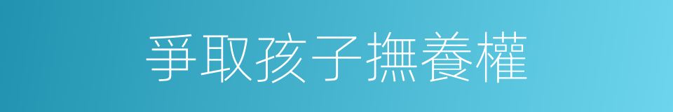 爭取孩子撫養權的同義詞