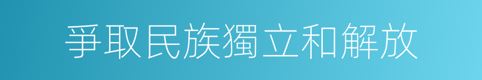 爭取民族獨立和解放的同義詞