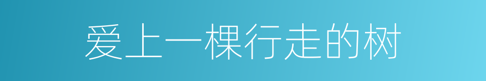 爱上一棵行走的树的同义词