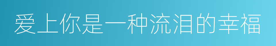 爱上你是一种流泪的幸福的同义词