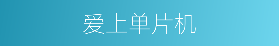 爱上单片机的同义词