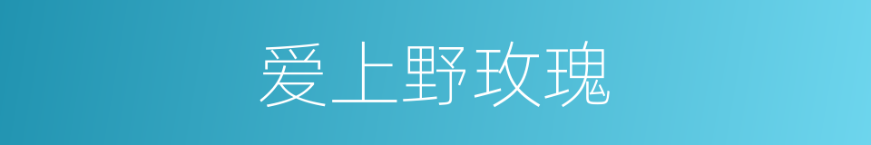 爱上野玫瑰的同义词
