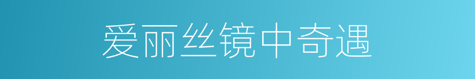 爱丽丝镜中奇遇的同义词