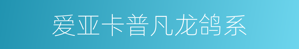 爱亚卡普凡龙鸽系的同义词