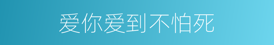 爱你爱到不怕死的同义词