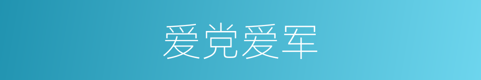 爱党爱军的同义词