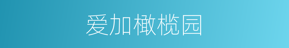 爱加橄榄园的同义词