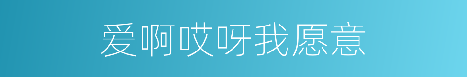 爱啊哎呀我愿意的同义词