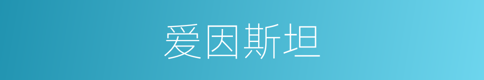 爱因斯坦的意思