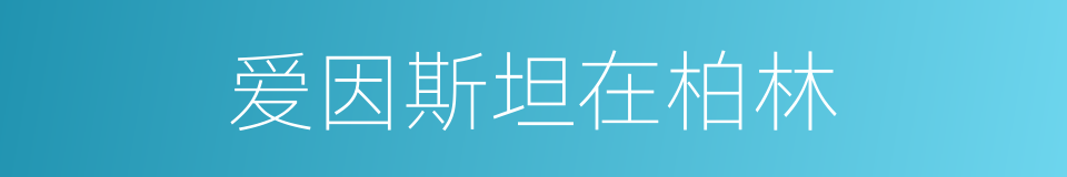 爱因斯坦在柏林的同义词