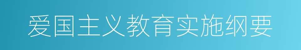 爱国主义教育实施纲要的同义词