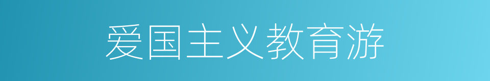 爱国主义教育游的同义词