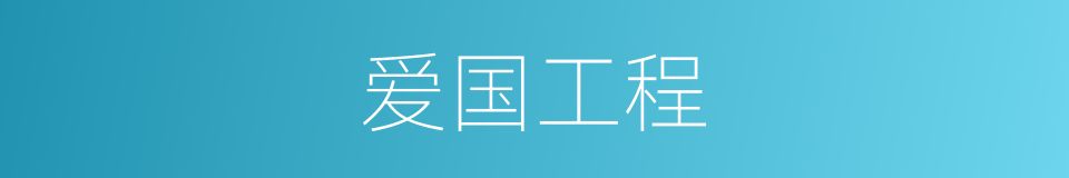 爱国工程的意思