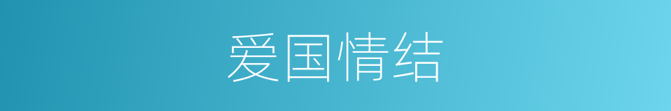 爱国情结的同义词