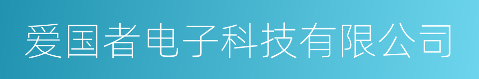 爱国者电子科技有限公司的同义词