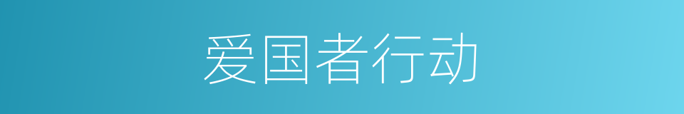 爱国者行动的同义词