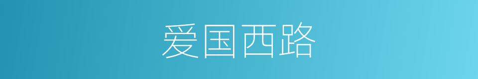 爱国西路的同义词