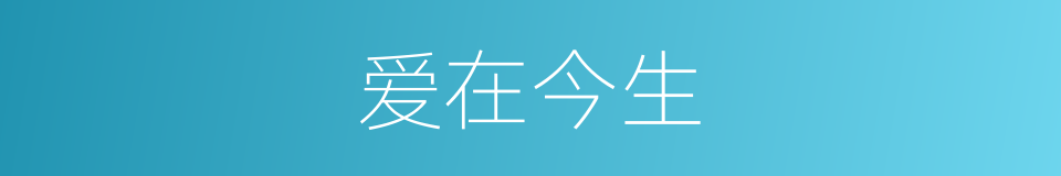 爱在今生的同义词