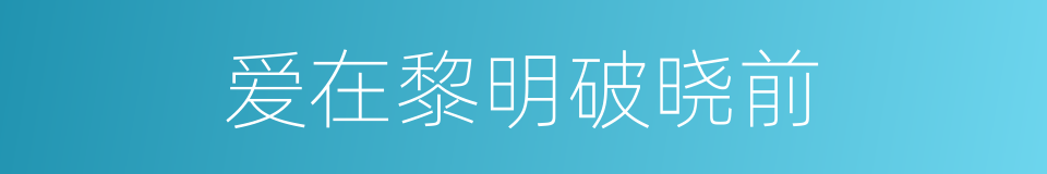 爱在黎明破晓前的同义词