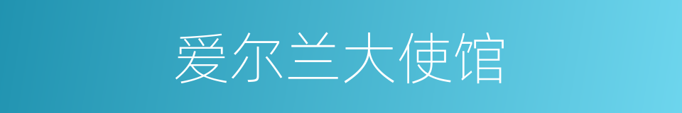 爱尔兰大使馆的同义词