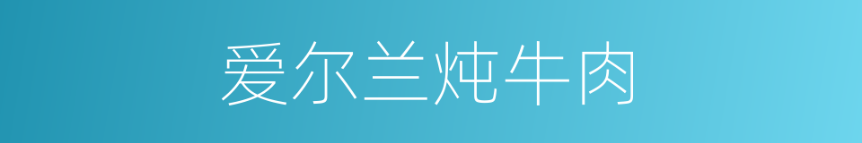 爱尔兰炖牛肉的同义词