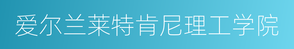 爱尔兰莱特肯尼理工学院的同义词