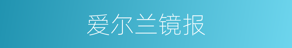 爱尔兰镜报的同义词