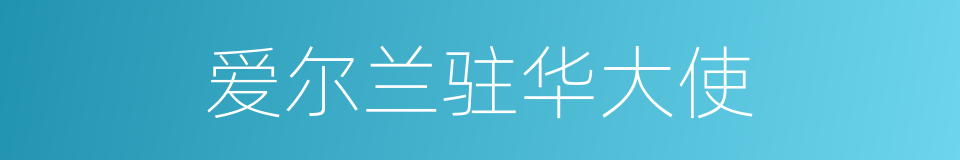 爱尔兰驻华大使的同义词