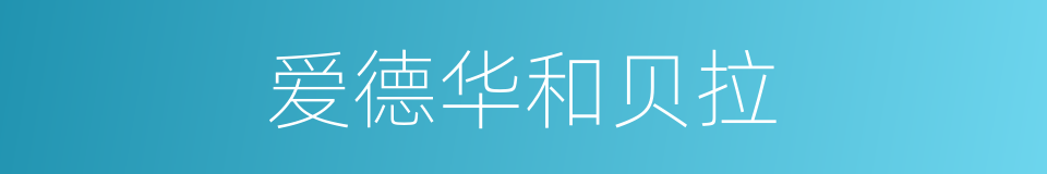 爱德华和贝拉的同义词