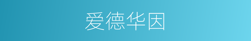 爱德华因的同义词