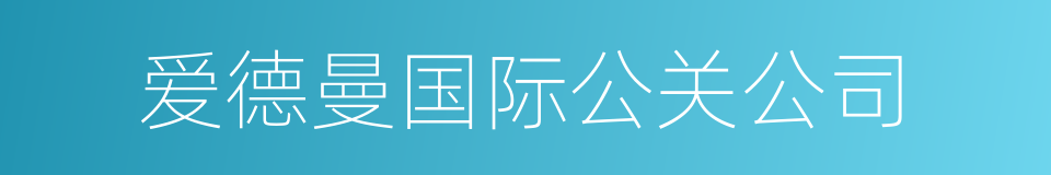 爱德曼国际公关公司的同义词