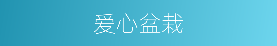 爱心盆栽的同义词